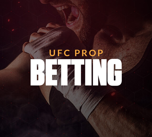 A Guide to Betting on MMA and UFC Events: Types and Tips for Success