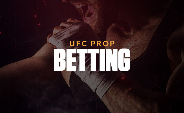 A Guide to Betting on MMA and UFC Events: Types and Tips for Success